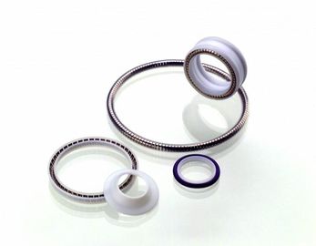 PTFE ซีลฤดูใบไม้ผลิ Energized เทฟลอนซีลเทฟลอนโรตารีซีล PTFE คงซีล