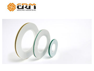 แปลนปะเก็น PTFE ซองจดหมาย